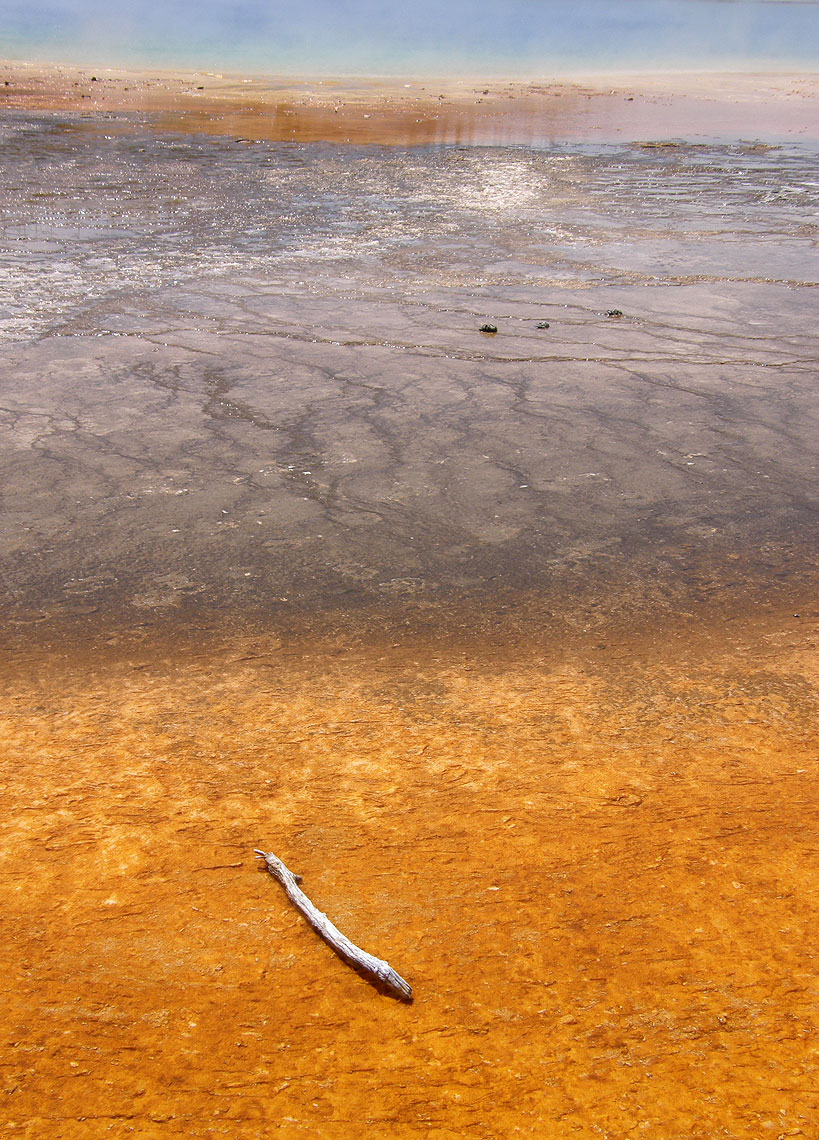 A dreid stick weathers on the edge of the Grand Prismatic Spring in Yellowstone National Park, WY. Personal Photography. Robert Polett Photography Lititz PA